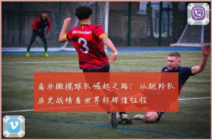南非橄榄球队崛起之路：从跳羚队历史战绩看世界杯辉煌征程