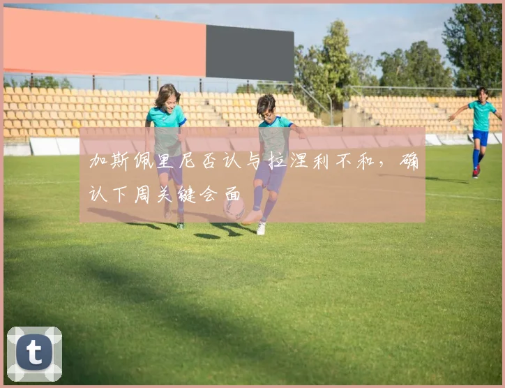 加斯佩里尼否认与拉涅利不和，确认下周关键会面