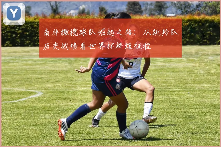 南非橄榄球队崛起之路：从跳羚队历史战绩看世界杯辉煌征程